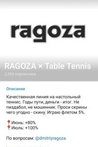 RAGOZA Table Tennis