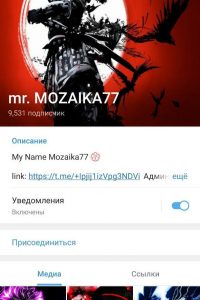 mr. MOZAIKA77