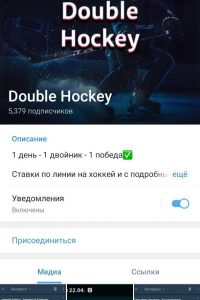 Double Hockey