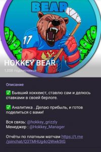 HOKKEY BEAR