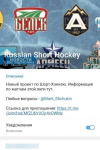 Russian Short Hockey
