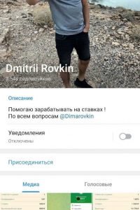 Dmitrii Rovkin