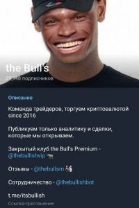The Bull’s