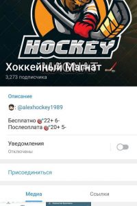 Хоккейный Магнат