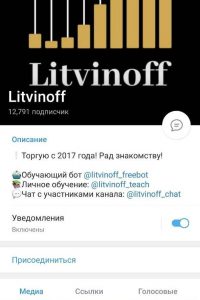 Litvinoff