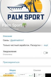 Palm Sport