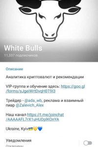 White Bulls