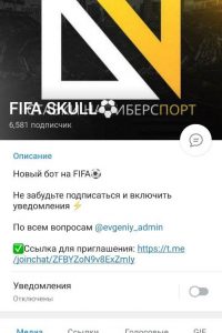 FIFA SKULL
