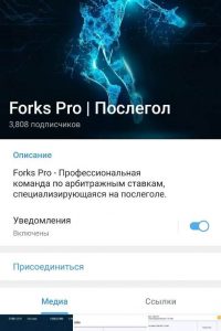 Forks Pro