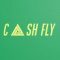 Cash Fly