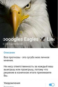 Goooooogles Eagles