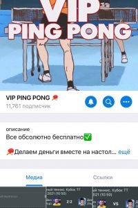 VIP PING PONG