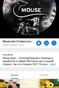 Mouse Bet