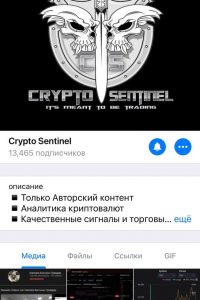 Crypto Sentinel