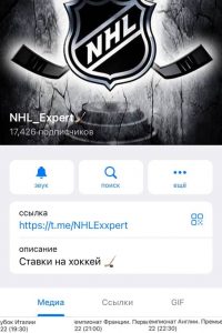 NHL Expert