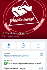 Tripple Investing