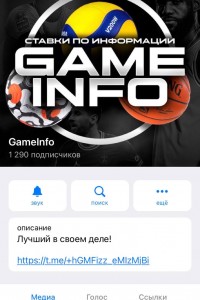 GameInfo