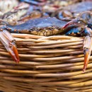 Crab bucket theory