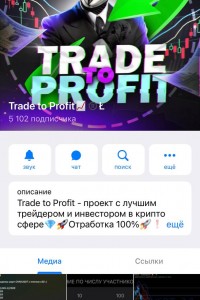 Trade to Profit