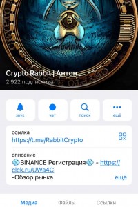 Crypto Rabbit