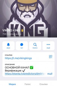 VIKING KING