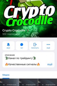 Crypto Crocodile