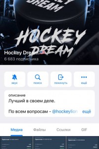 Hockey Dream