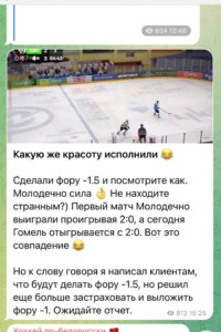 Хоккей по белорусски