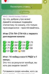 World Hockey Culture
