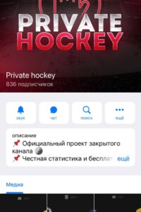 Private hockey
