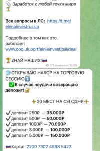 Elena Invest Russia