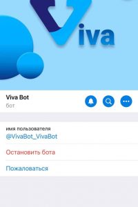 Viva Bot